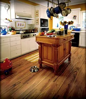 Laminate flooring store - Lakeland, Ocala, Ormond Beach, Savannah, Tallahassee