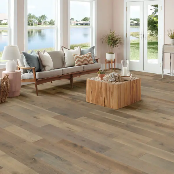 sun dappled Living room scene - couch with pillows, large windows with outdoor view, laminate flooring.