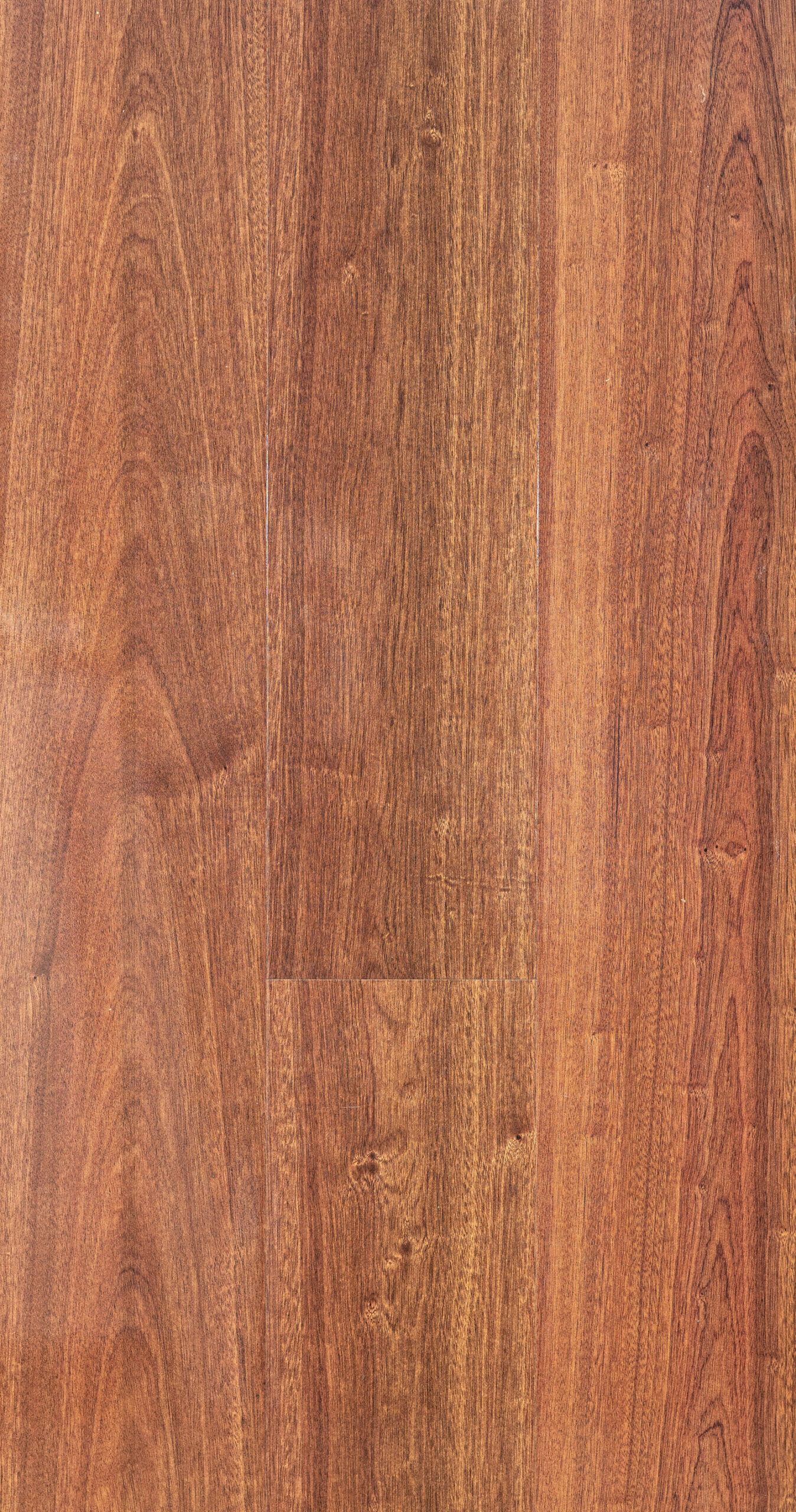 BRAZILIAN CHERRY  HI GLOSS Image
