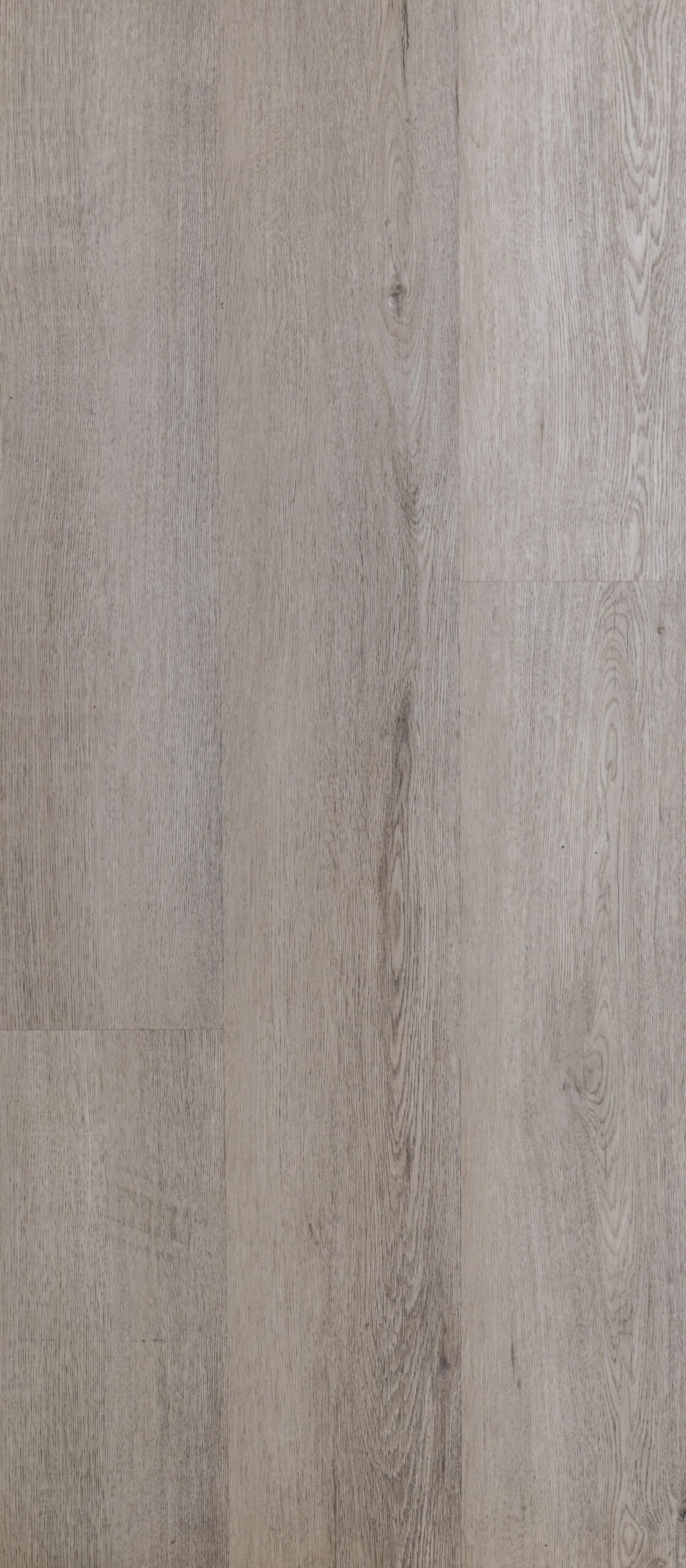 CENTENNIAL OAK Image