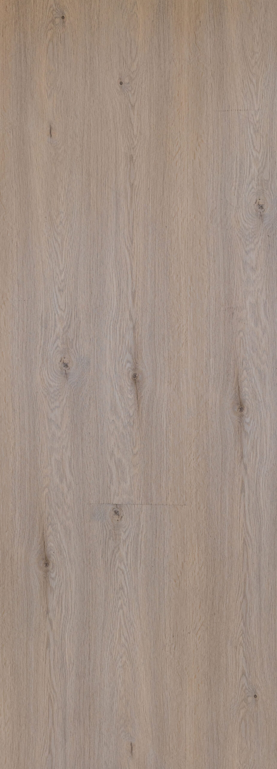 COLONIAL OAK Image