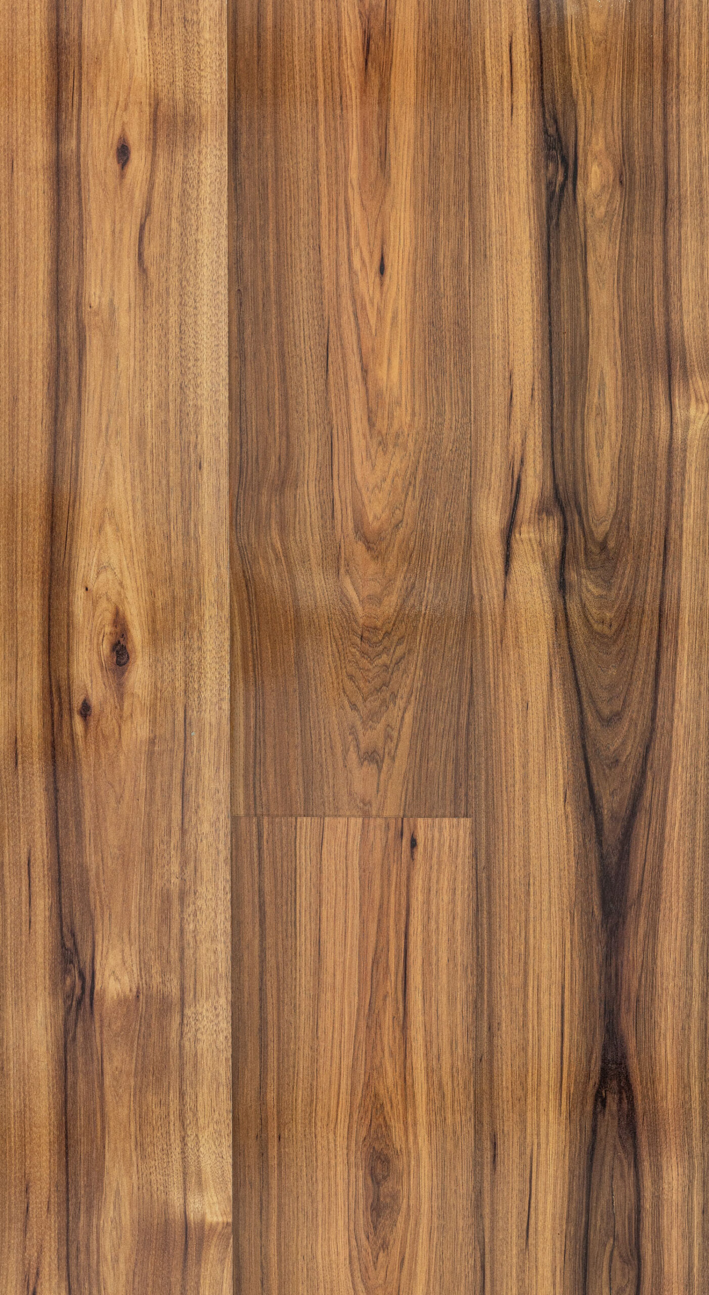 HICKORY SUNDAY Image