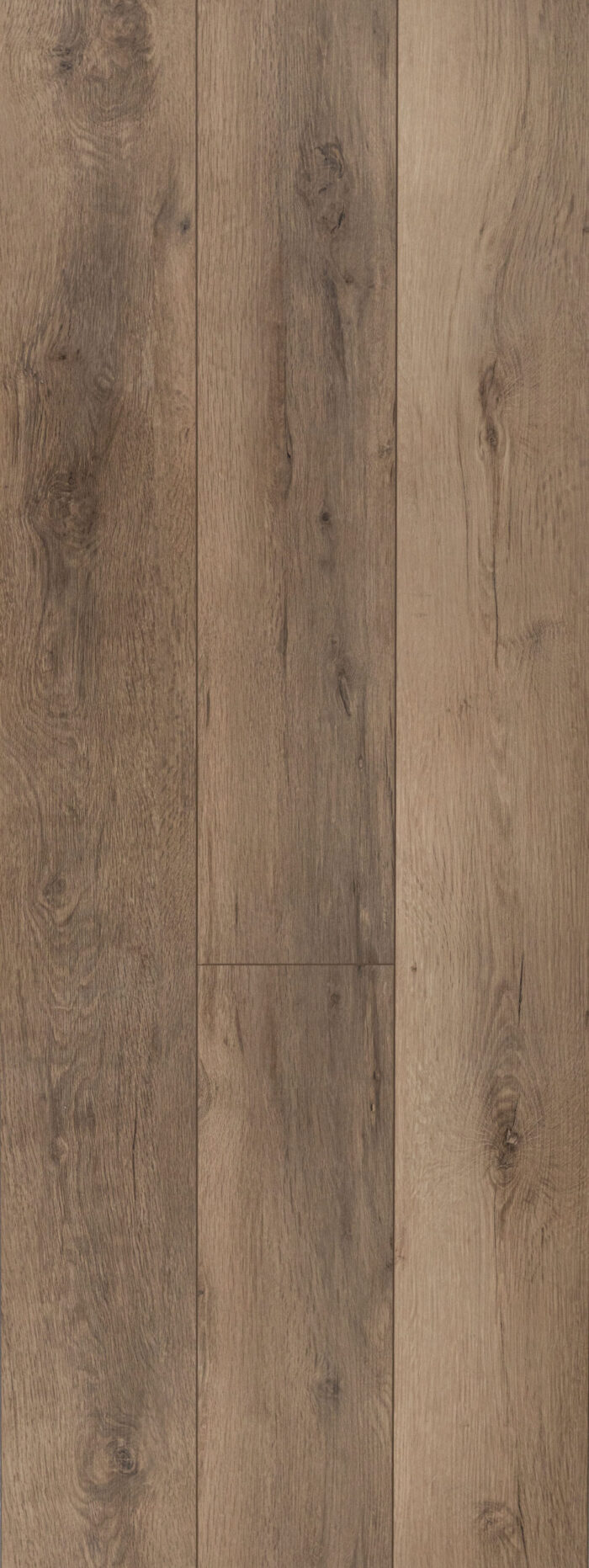 Madrid Oak