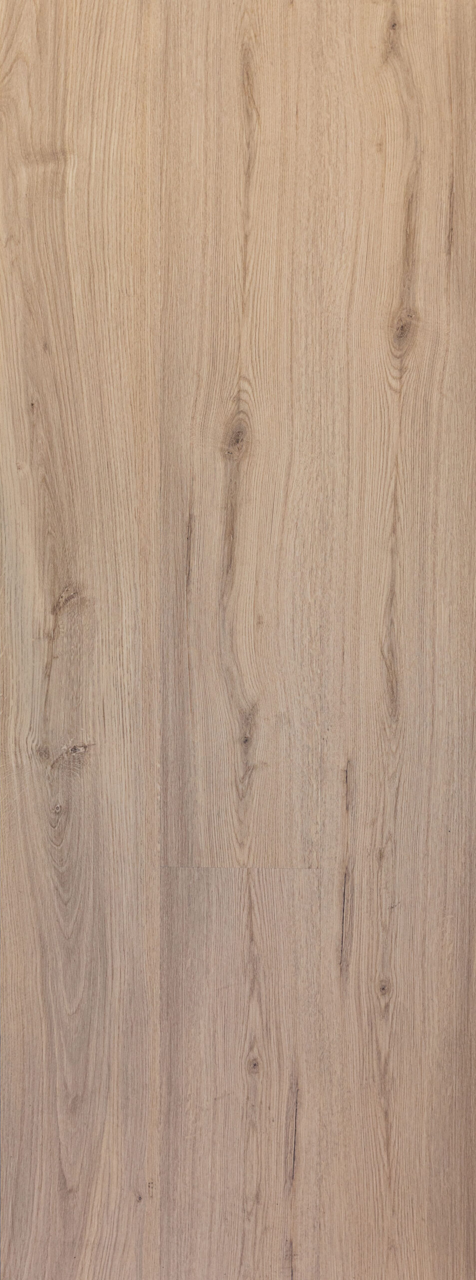 SULLIVAN’S OAK Image
