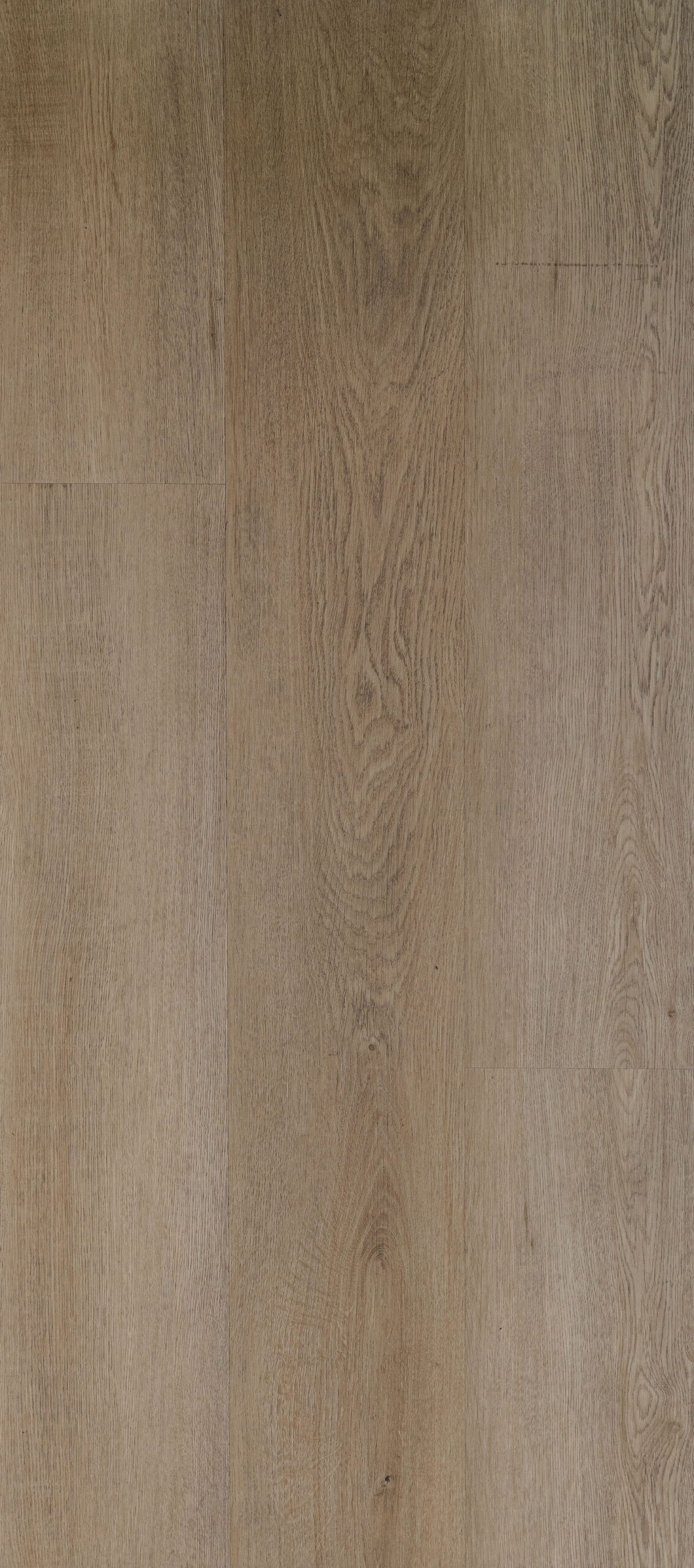 WARNER OAK Image