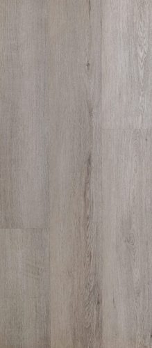 Centennial Oak