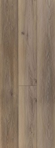 Wiltshire Oak