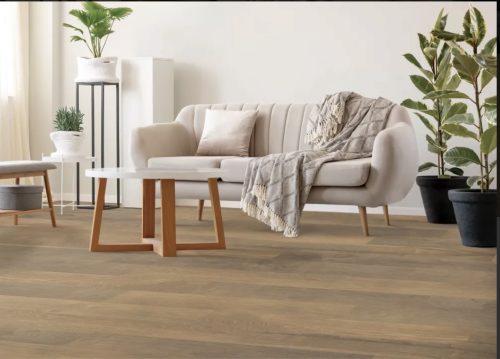 Riverbank Oak